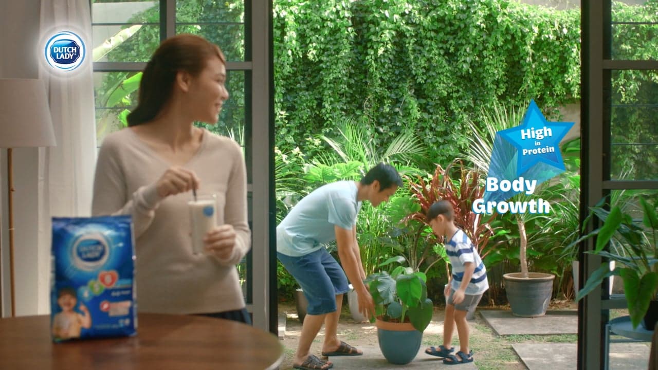 Dutch Lady — Dutch Lady 'Lost Cat'