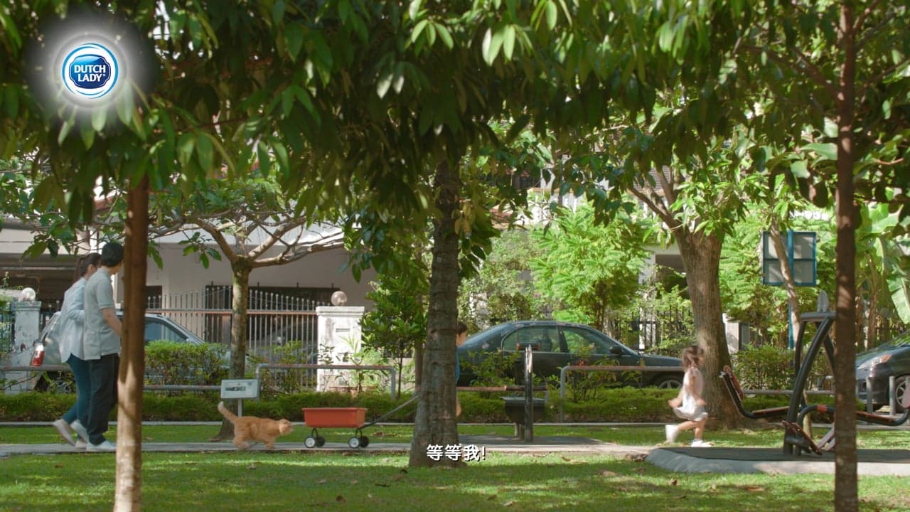 Dutch Lady — Dutch Lady 'Recycle'