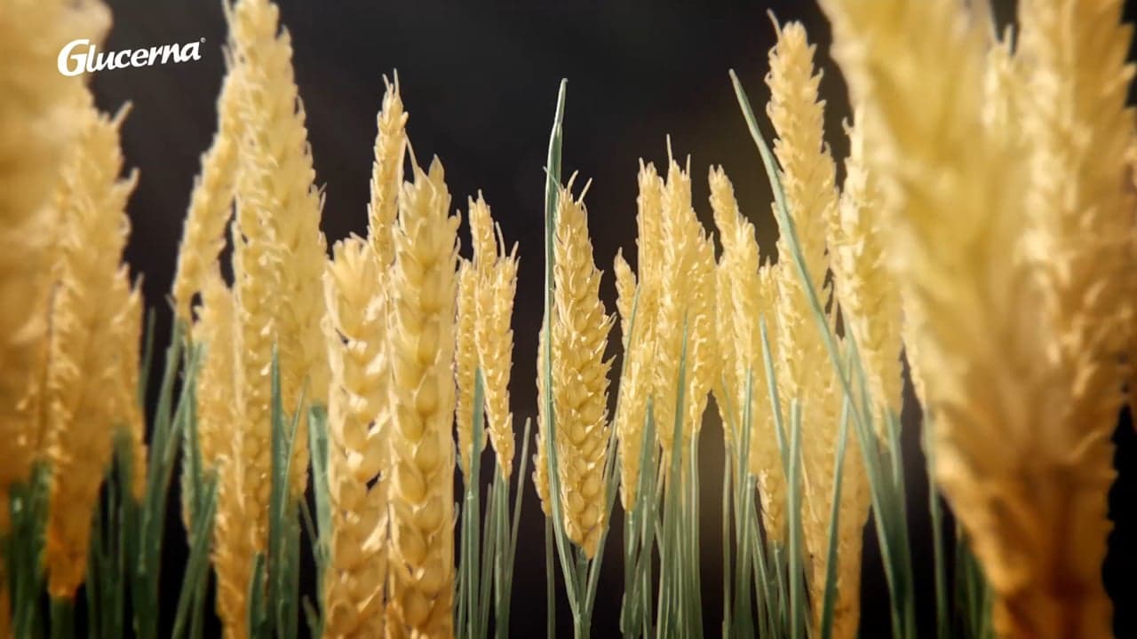 Glucerna — Glucerna 'Awareness'