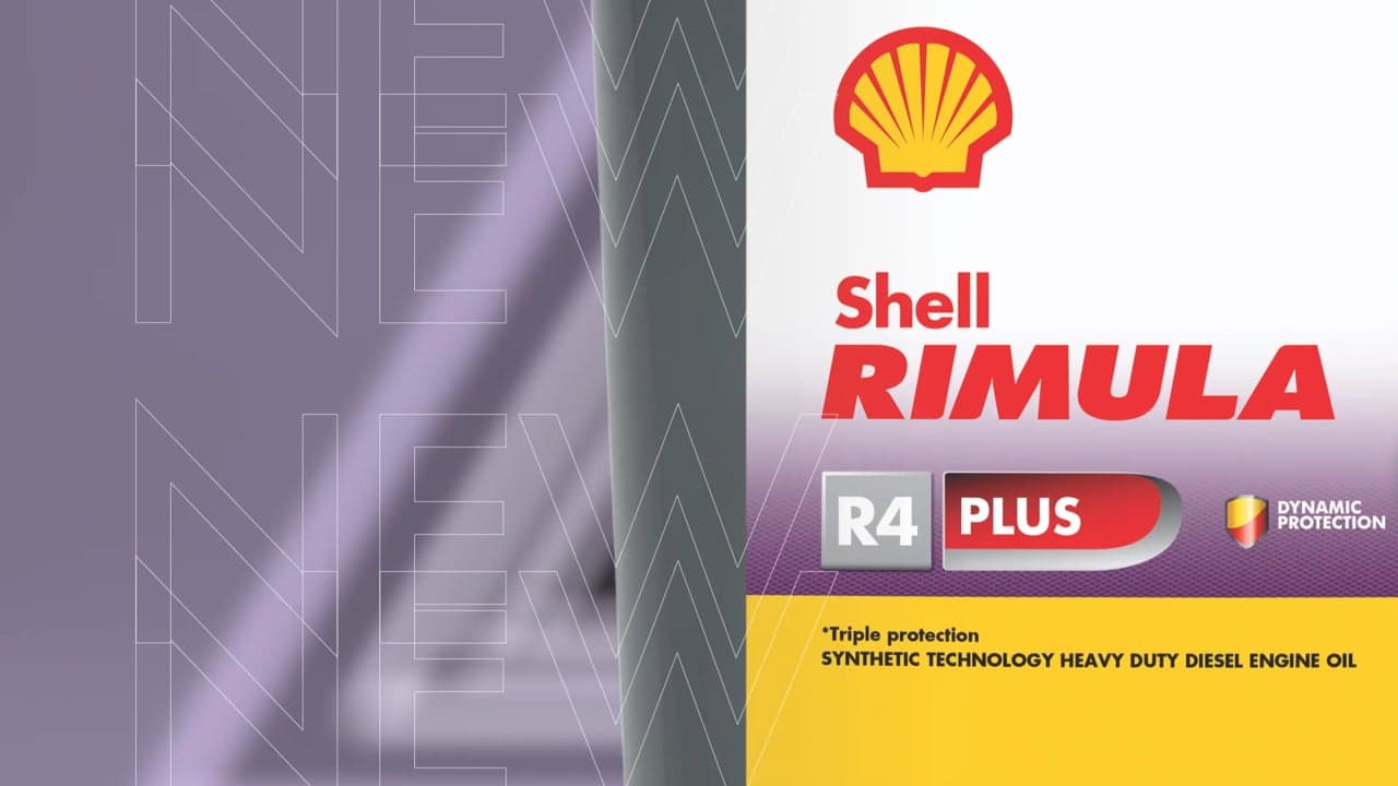 Shell — Rimula